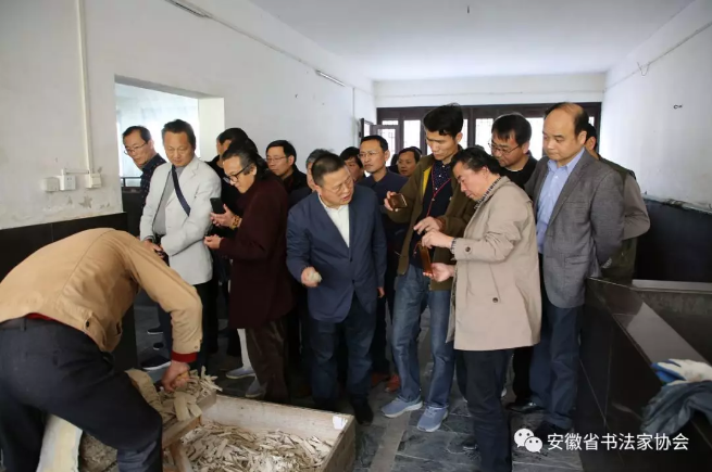 省书协召开第六届理事会第二次会议暨首期省书协会员培训班(图17)