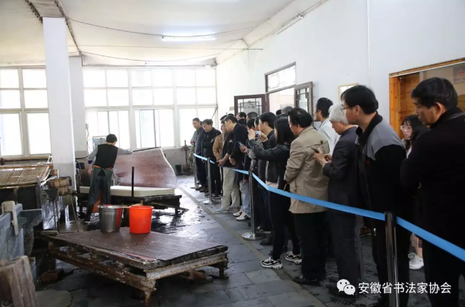 省书协召开第六届理事会第二次会议暨首期省书协会员培训班(图18)