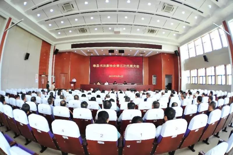 寿县书协召开第三次代表大会(图9)