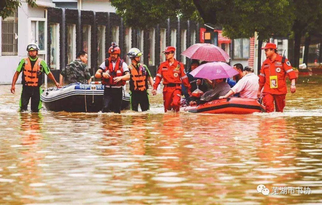 闻“汛”而动，“艺”往无前，抗洪救灾——芜湖市书法家协会在行动(图6)