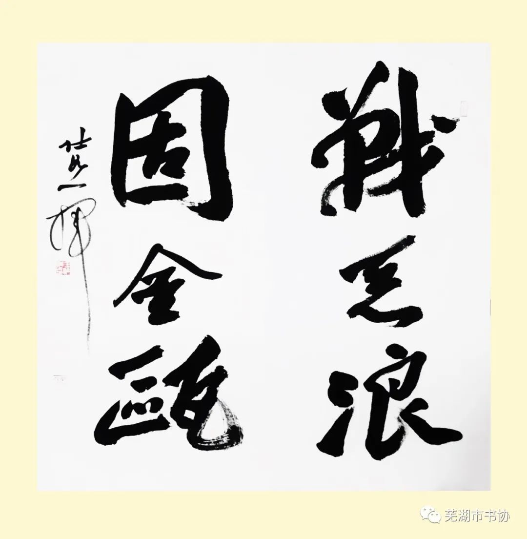 闻“汛”而动，“艺”往无前，抗洪救灾——芜湖市书法家协会在行动(图17)
