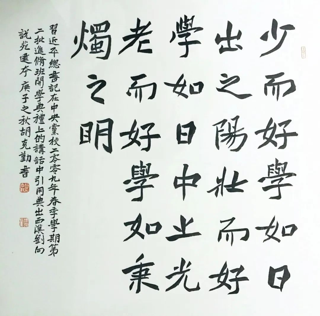 “理论+艺术”主题宣传活动在合肥启动(图37)