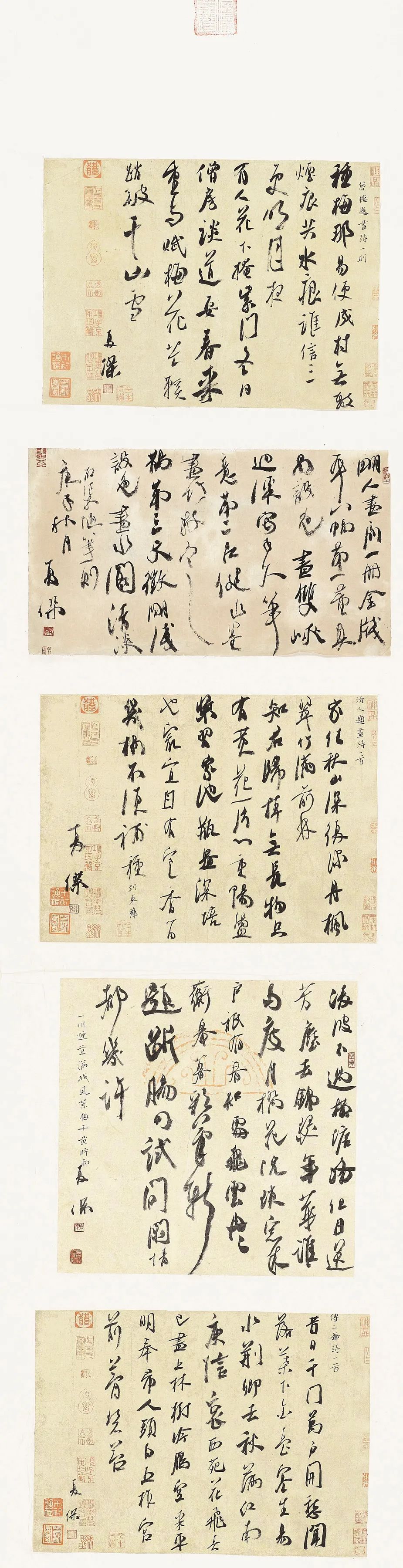 守正创新 ——长三角优秀青年书法家精品邀请展暨长三角书法发展苏州大讲堂在苏州举行(图22)