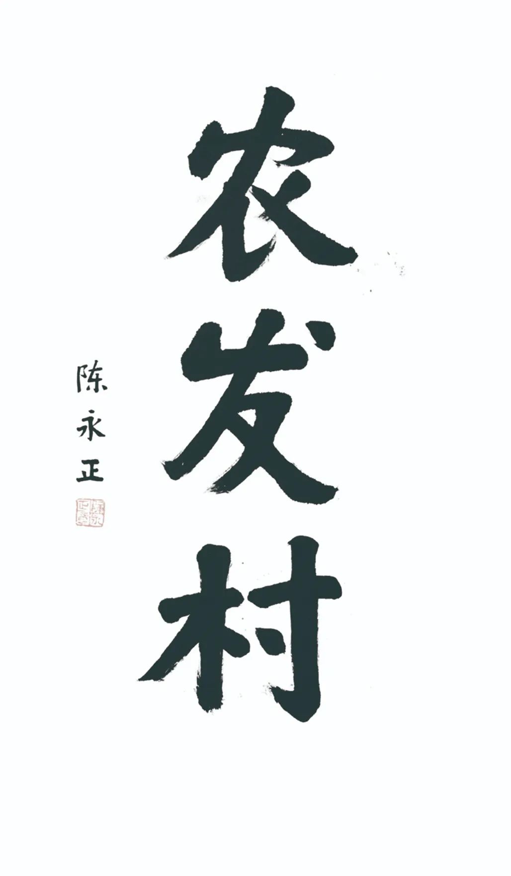 中国力量——全国扶贫书法大展作品 | 第三篇章 · 九州同春（2）(图14)